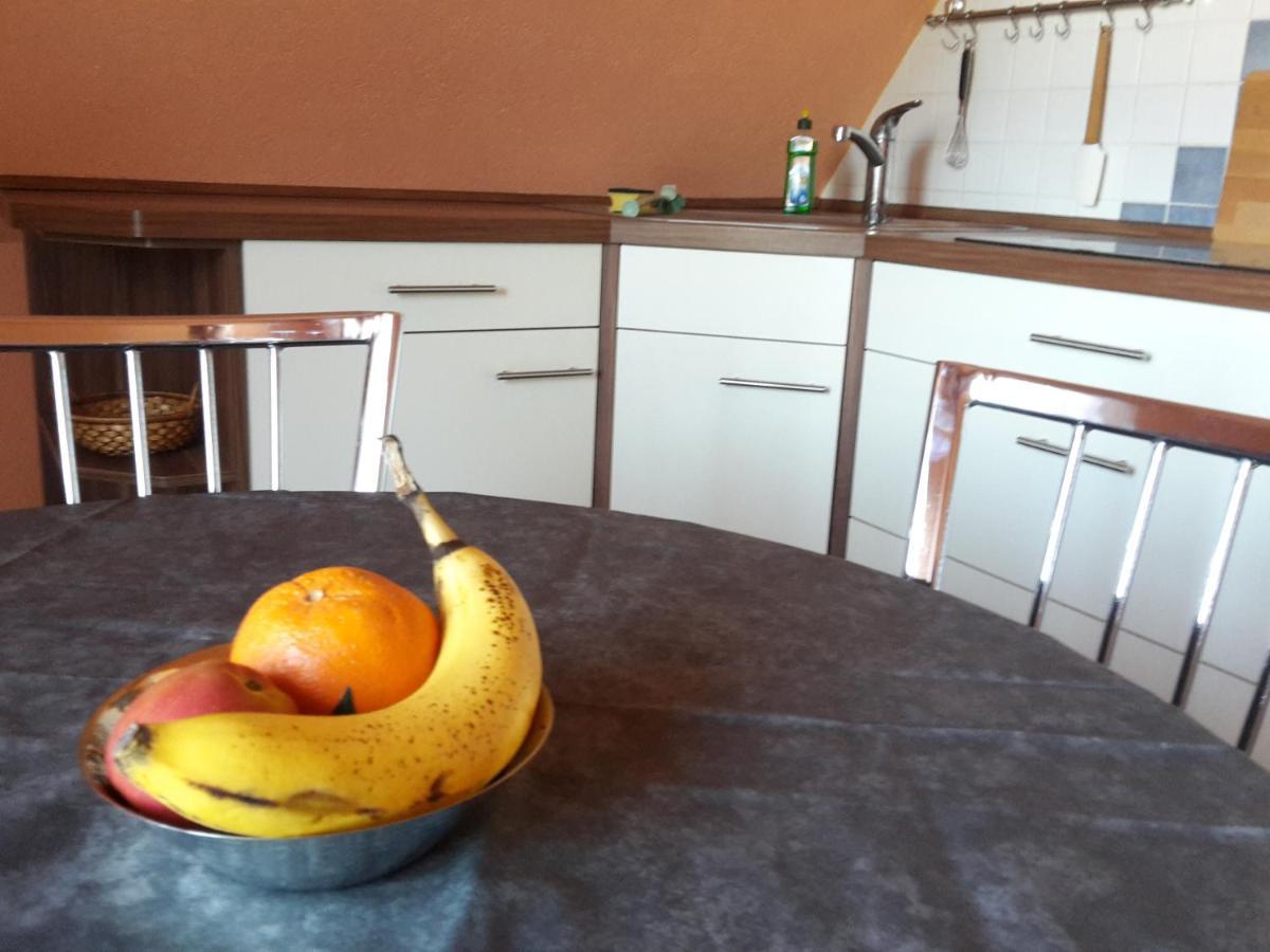Ferienwohnung Dresden West Dış mekan fotoğraf
